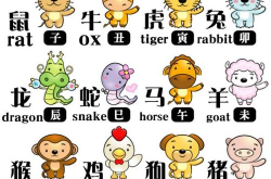 2020年属什么生肖,机遇与挑战并存