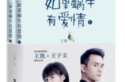 如果蜗牛有爱情 小说,时光里的温柔追逐