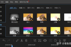 吃瓜娱乐视频剪辑软件哪个好,哪个才是你的最佳选择？”