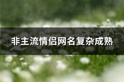 非主流情侣网名,非主流情侣网名的创意与情感表达
