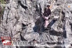 19+한+국+야+동snb - 19+한+국+야+동snb官方老版本下载V ，仆从之剑2及人气高的棋牌游戏大全 2025受迎接的棋牌游戏下载 ，狂野摩托车手竞快手机版