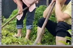娱乐八卦吃瓜群众,娱乐圈八卦风云，吃瓜群众视角下的娱乐江湖