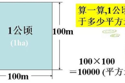 公顷平方千米,面积单位的奥秘与应用
