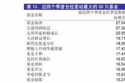 基金050004,投资策略与市场表现深度解析