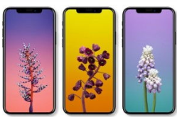 苹果发布会新品曝光,iPhone 15系列领衔，多款新品亮点解析
