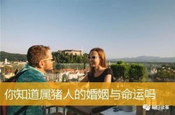 1971年猪的命运和婚姻如何样,命运起伏与婚姻轨迹解析