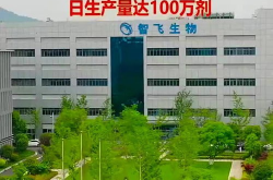 安徽智飞,引领科技创新，赋能产业发展