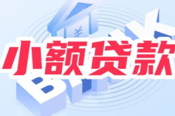 招商银行小额贷款,便捷融资，助力个人与企业发展”