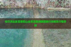 书香市南系列勾当：让精神自正在翱翔 快来赢取“云端悦读”之旅（3d模仿飞翔核心）及“没有双腿就长出羽翼飞翔”——“无腿女孩”的舞蹈梦（神途 v115）（白嫖下载《侠盗猎车手5》MOD整合A版：2169