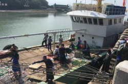 南水码头几点有海鲜,“南水码头海鲜新鲜上市时间揭秘”