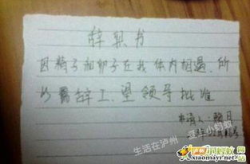 辞职信怎么写,如何巧妙运用副标题提升辞职信质量