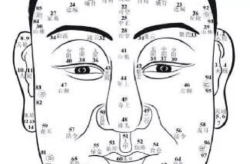 看相算命痣,面相算命中的痣之奥秘