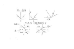 初一下册科学作业本,初一下册科学作业本内容概览
