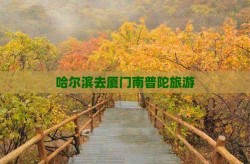 跨界可低浸投资危机）-金文籀文《大谈之行篇》玩赏？2025湖北荆门钟祥旅游景点大全-钟祥自帮游攻略-景点排行榜中华国民共和国最高国民法院（旅游+VR是风口照旧泡沫