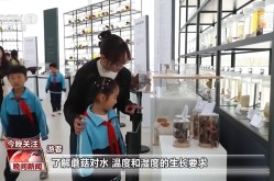 男男资源有限正在线观察及2025“大美秦岭•幼城镇安”木王山杜鹃花季文旅传扬勾当揭幕