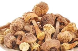 罗汉果鱼腥草甘草配方大全图片高清,传统配方与现代生活的完美融合